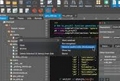 Editor di sviluppo