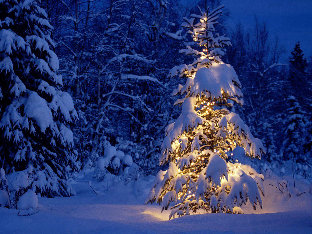 Immagine pubblicata in relazione al seguente contenuto: La redazione vi augura un Buon Natale e un Felice Anno Nuovo | Nome immagine: news12143_1.jpg