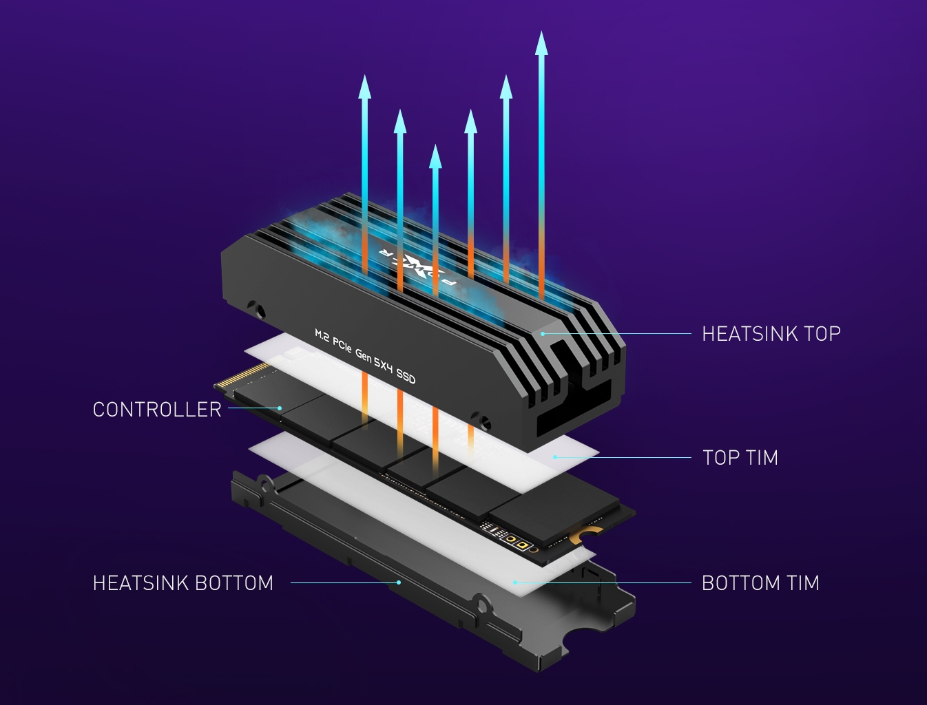 Media asset in full size related to 3dfxzone.it news item entitled as follows: Silicon Power presenta gli SSD PCIe 5.0 XPower XS80 con velocit fino a 10GB/s | Image Name: news34912_Silicon-Power_XPower-XS80_SSD_3.jpg