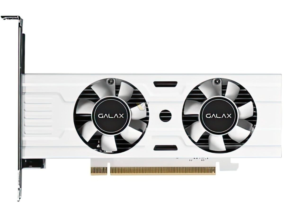 Immagine pubblicata in relazione al seguente contenuto: Galax sceglie il bianco per la GeForce RTX 3050 6GB LP White (incluso il PCB) | Nome immagine: news35299_Galax-GeForce-RTX-3050-6-GB-LP_2.jpg