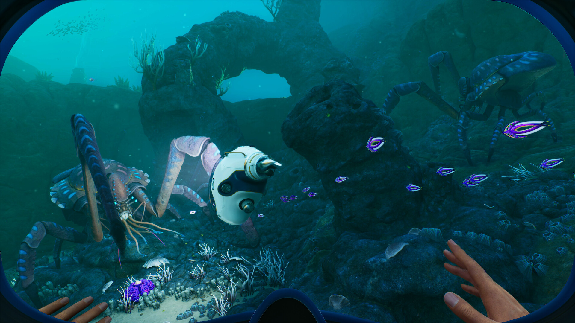 Immagine pubblicata in relazione al seguente contenuto: Unknown Worlds pubblica il teaser trailer e il periodo di lancio di Subnautica 2 | Nome immagine: news36074_Subnautica-2_Screenshot_3.jpg