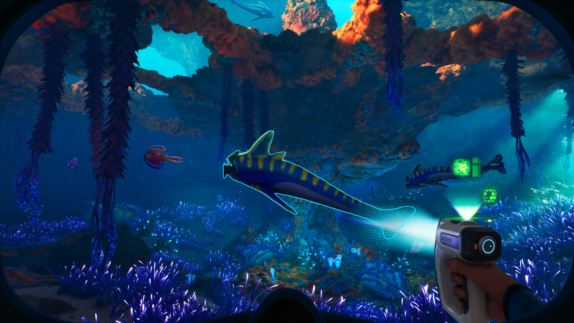 Immagine pubblicata in relazione al seguente contenuto: Unknown Worlds pubblica il teaser trailer e il periodo di lancio di Subnautica 2 | Nome immagine: news36074_Subnautica-2_Screenshot_5.jpg