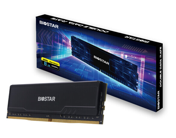 Immagine pubblicata in relazione al seguente contenuto: BIOSTAR annuncia i moduli di RAM DDR4 Storming V con capacit pari a 8GB e 16GB | Nome immagine: news36245_BIOSTAR-Storming-V_DDR4_2.jpg